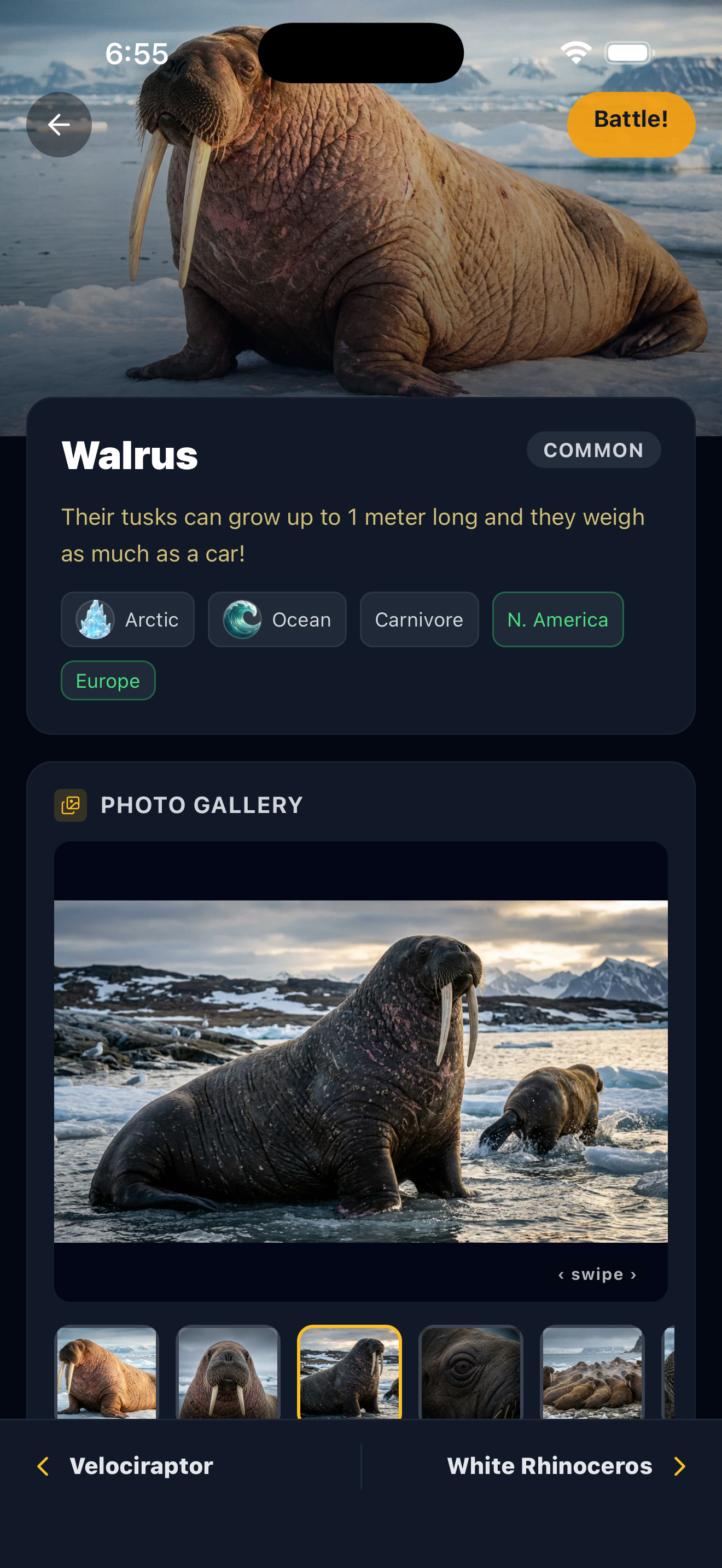 Animal detail page with facts and photo gallery